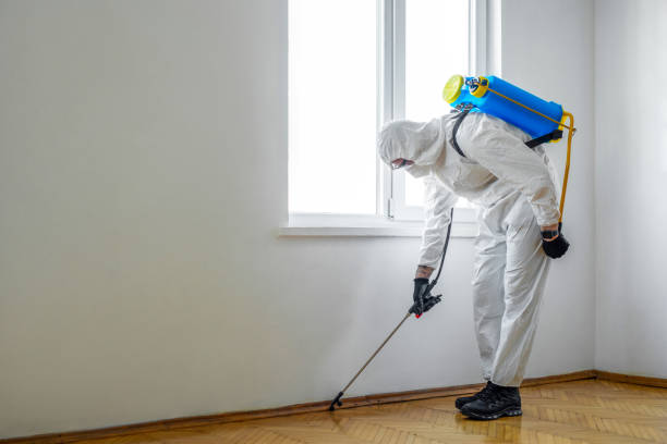 Best Indoor Pest Control  in Elyria, OH